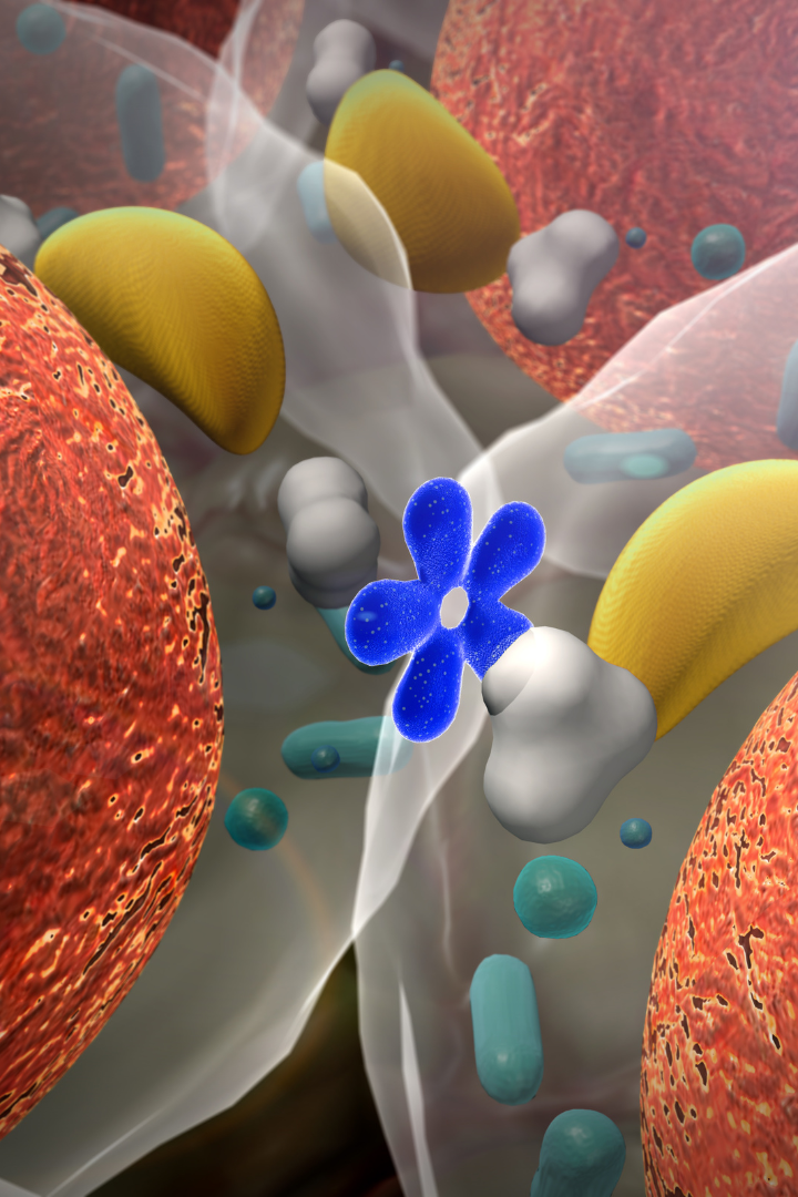 Hormones — The Secret Metabolic Bosses You Didn’t Know You Had 👑